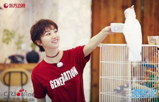 娱乐圈吃瓜王源